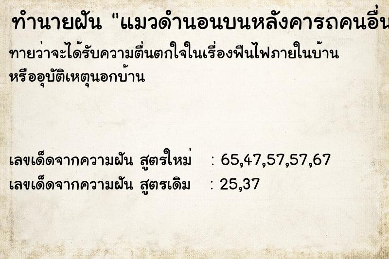 ทำนายฝัน แมวดำนอนบนหลังคารถคนอื่นหน้าบ้าน