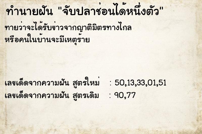 ทำนายฝัน จับปลาช่อนได้หนึ่งตัว