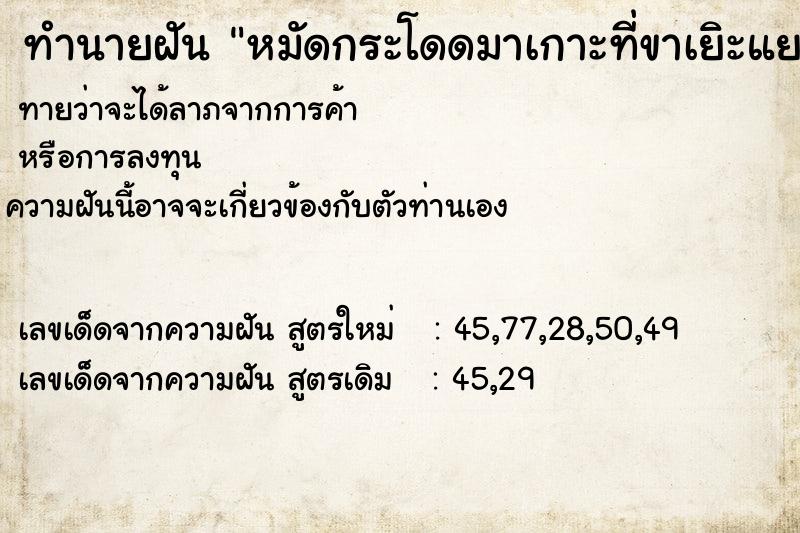 ทำนายฝัน หมัดกระโดดมาเกาะที่ขาเยิะแยะ