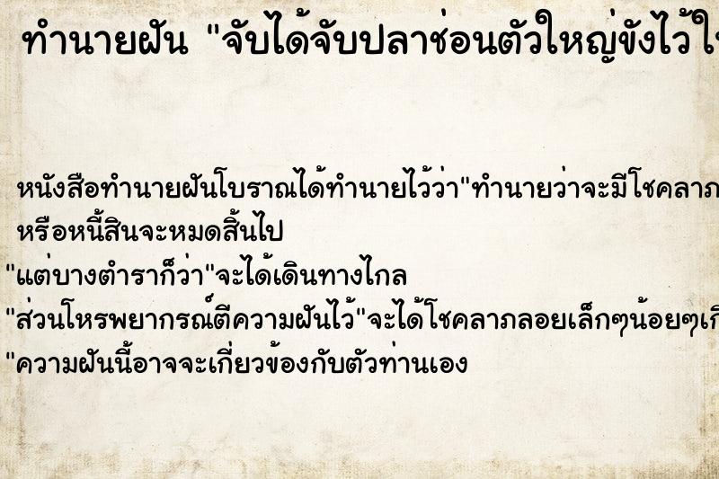 ทำนายฝัน จับได้จับปลาช่อนตัวใหญ่ขังไว้ในโอ่งนำ้  เลขนำโชค 