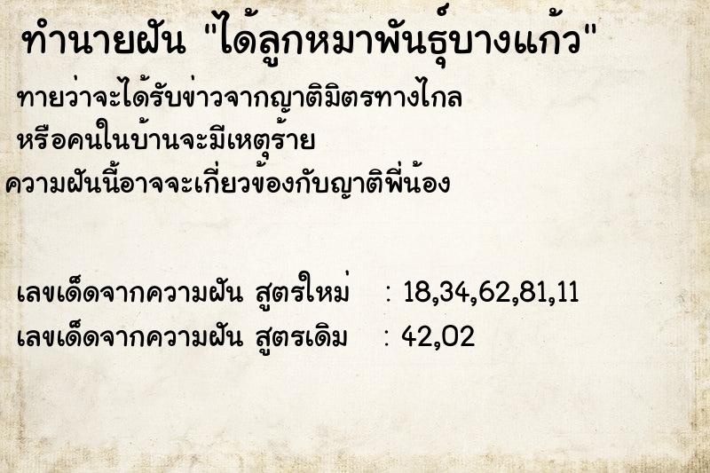 ทำนายฝัน ได้ลูกหมาพันธุ์บางแก้ว