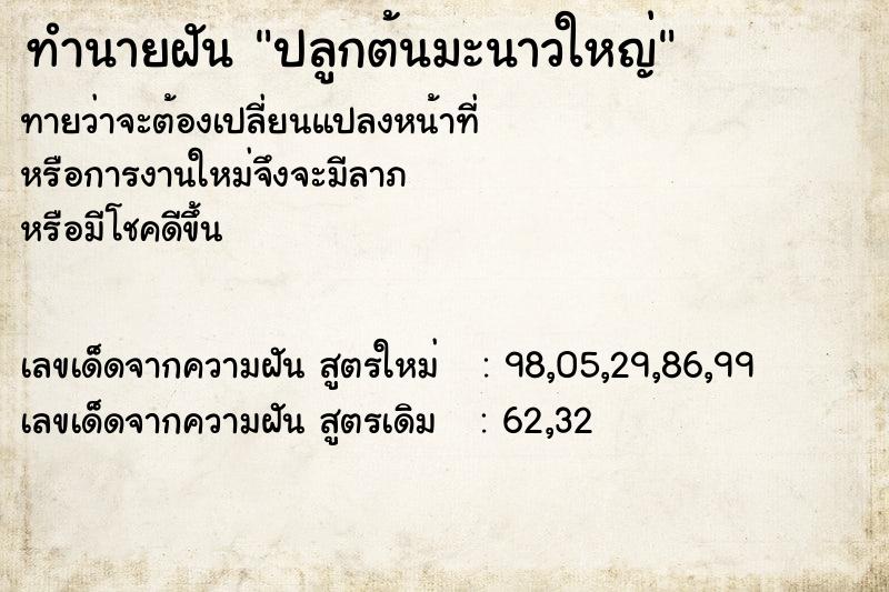 ทำนายฝัน ปลูกต้นมะนาวใหญ่