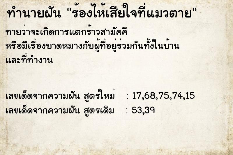 ทำนายฝัน ร้องไห้เสียใจที่แมวตาย