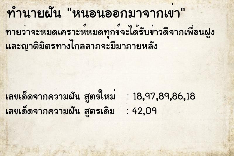 ทำนายฝัน หนอนออกมาจากเข่า