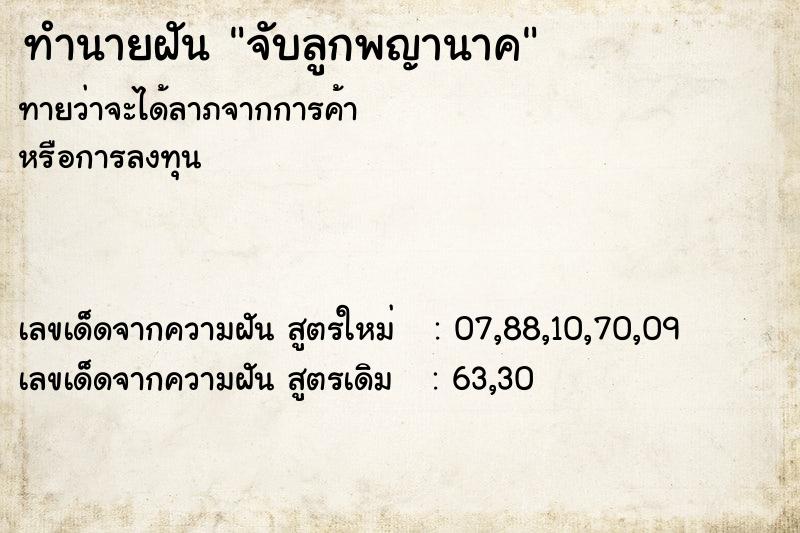 ทำนายฝัน จับลูกพญานาค