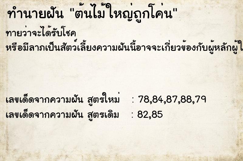 ทำนายฝัน ต้นไม้ใหญ่ถูกโค่น