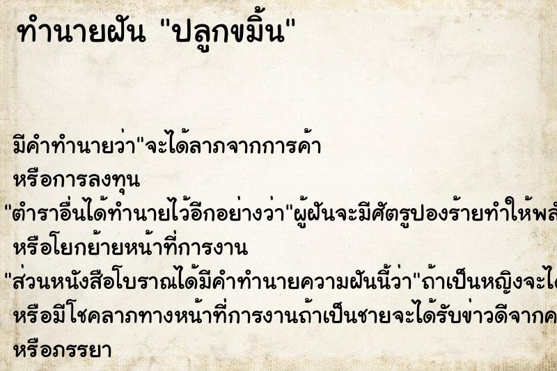 ทำนายฝัน ปลูกขมิ้น