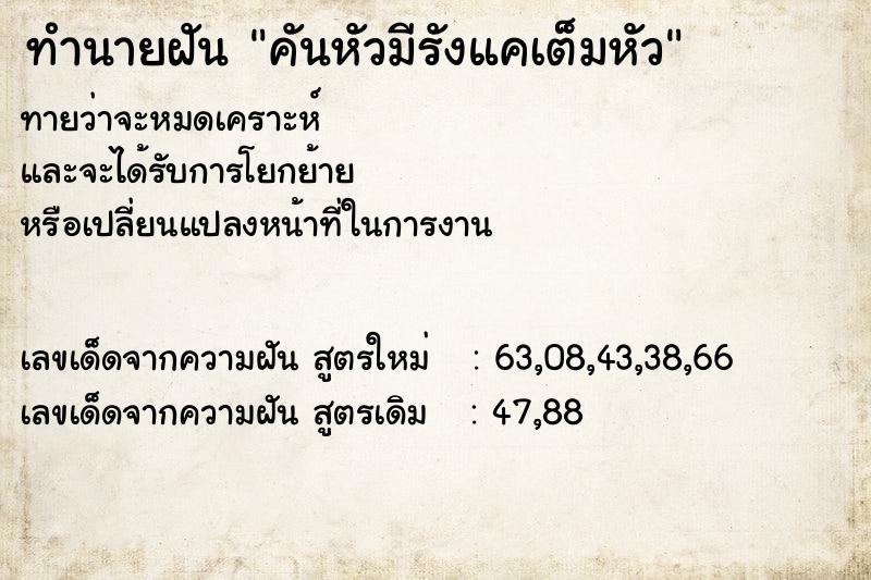 ทำนายฝัน คันหัวมีรังแคเต็มหัว