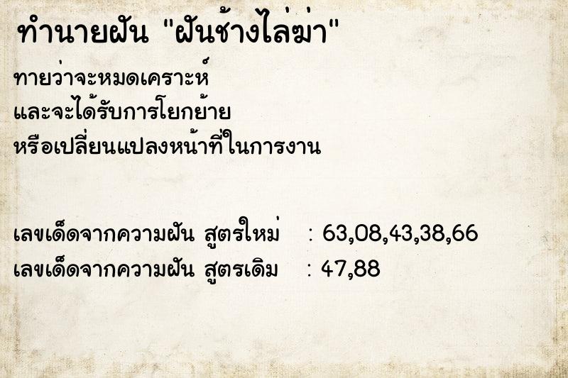 ทำนายฝัน ฝันช้างไล่ฆ่า