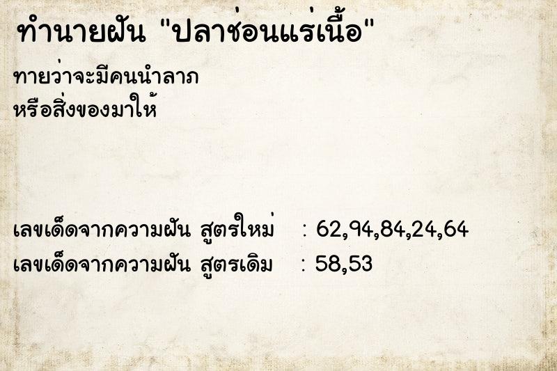 ทำนายฝัน ปลาช่อนแร่เนื้อ