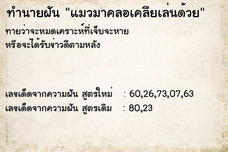 ทำนายฝัน แมวมาคลอเคลียเล่นด้วย