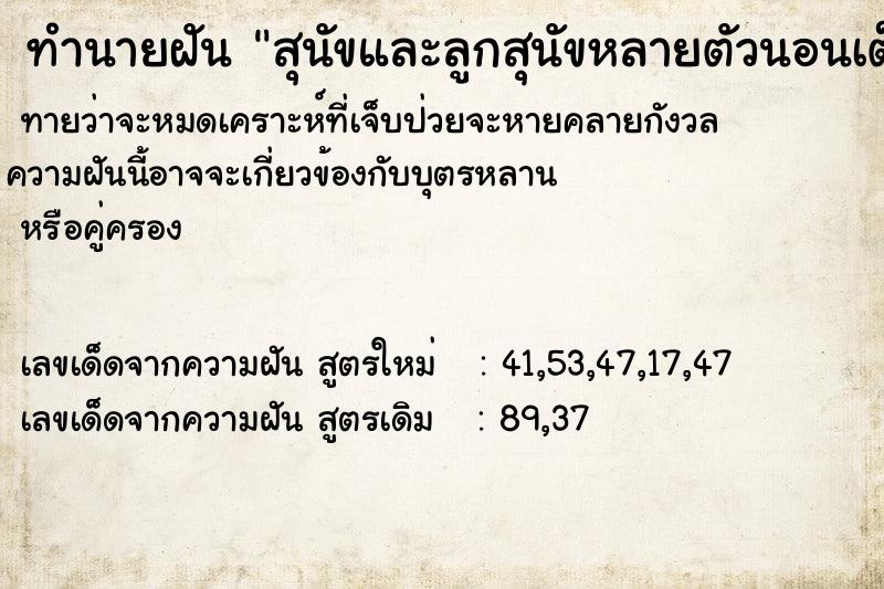 ทำนายฝัน สุนัขและลูกสุนัขหลายตัวนอนเต็มหลังร้าน