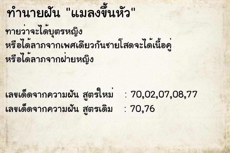 ทำนายฝัน แมลงขึ้นหัว