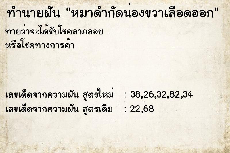 ทำนายฝัน หมาดำกัดน่องขวาเลือดออก