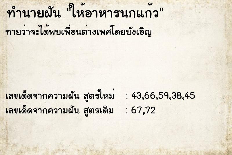 ทำนายฝัน ให้อาหารนกแก้ว