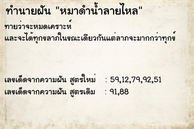 ทำนายฝัน หมาดำน้ำลายไหล