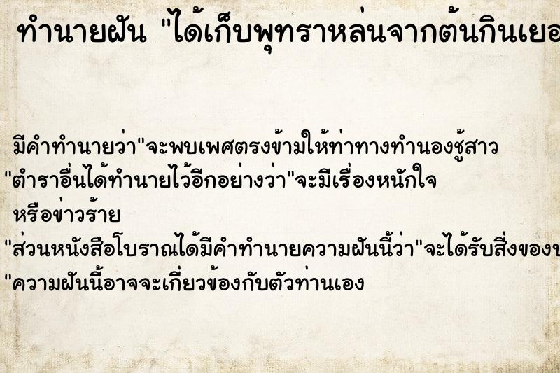 ทำนายฝัน ได้เก็บพุทราหล่นจากต้นกินเยอะมาก