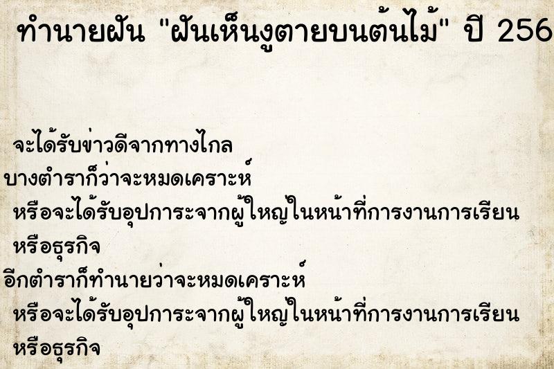 ทำนายฝัน ฝันเห็นงูตายบนต้นไม้  เลขนำโชค 