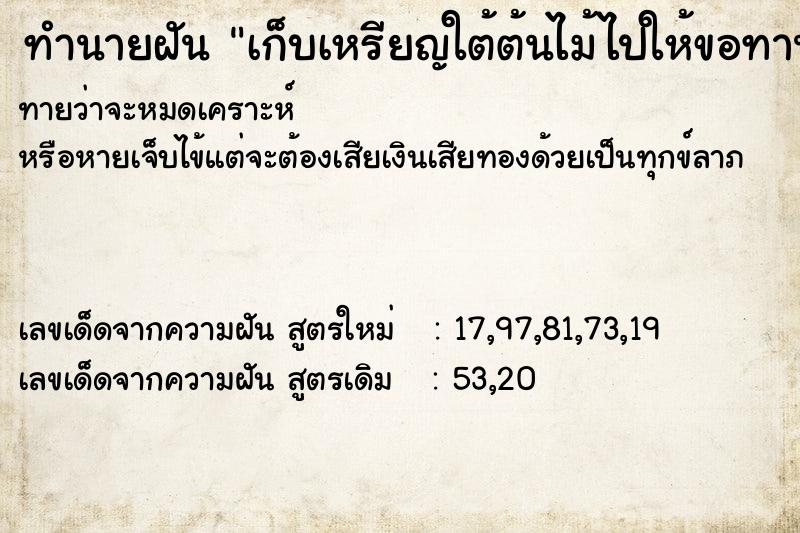 ทำนายฝัน เก็บเหรียญใต้ต้นไม้ไปให้ขอทาน