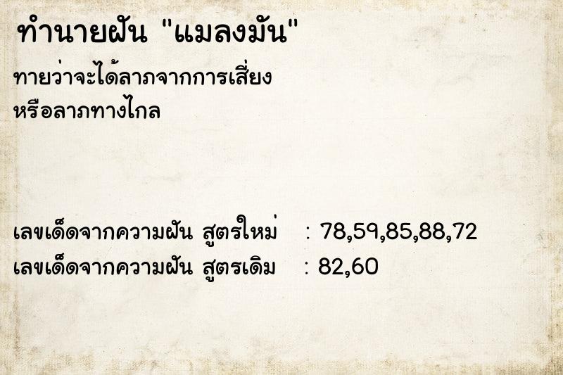 ทำนายฝัน แมลงมัน