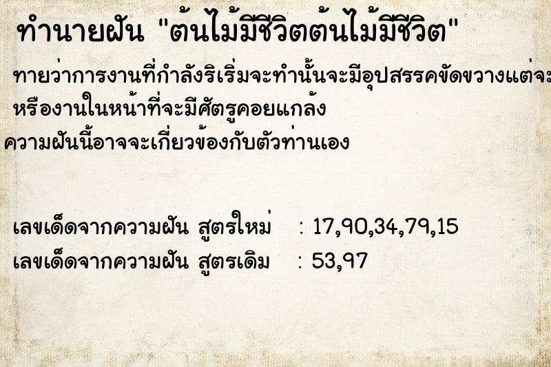 ทำนายฝัน ต้นไม้มีชีวิตต้นไม้มีชีวิต