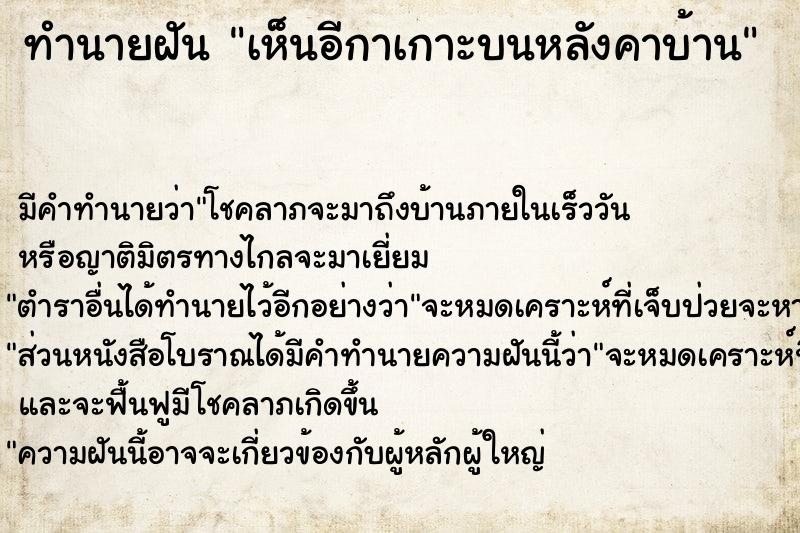 ทำนายฝัน เห็นอีกาเกาะบนหลังคาบ้าน