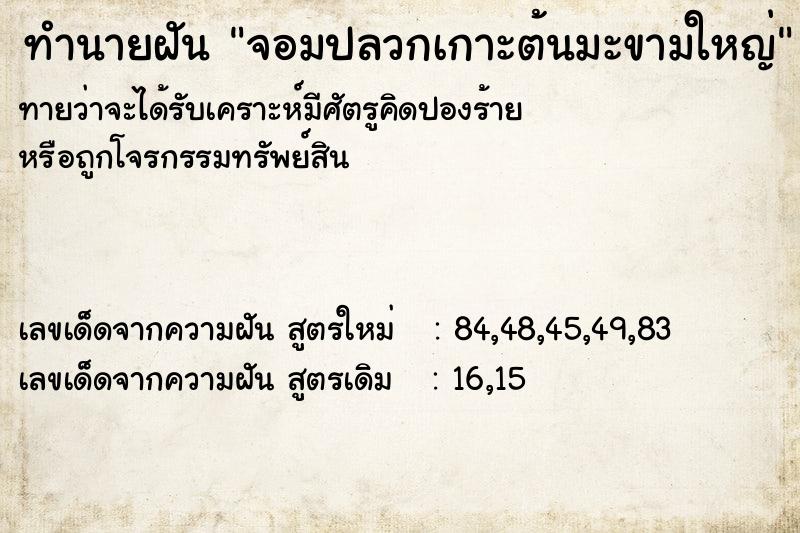 ทำนายฝัน จอมปลวกเกาะต้นมะขามใหญ่