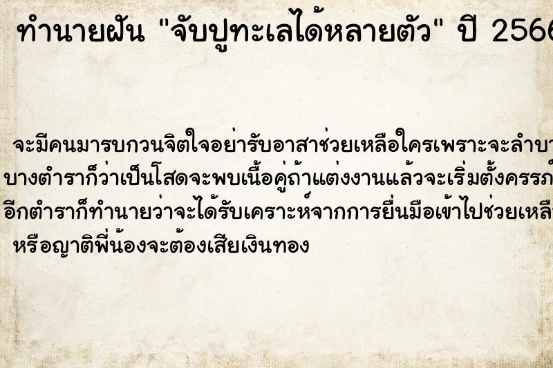 ทำนายฝัน จับปูทะเลได้หลายตัว