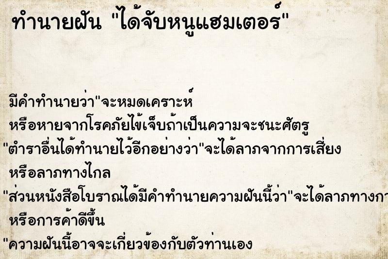 ทำนายฝัน ได้จับหนูแฮมเตอร์