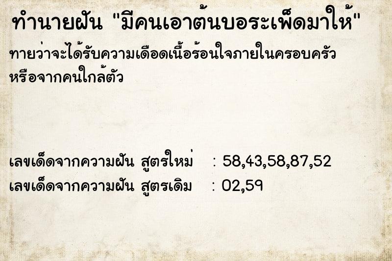 ทำนายฝัน มีคนเอาต้นบอระเพ็ดมาให้