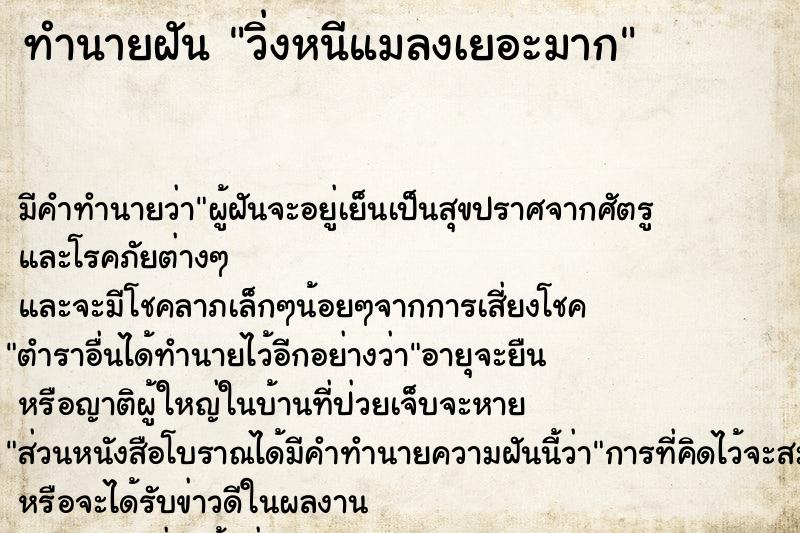 ทำนายฝัน วิ่งหนีแมลงเยอะมาก