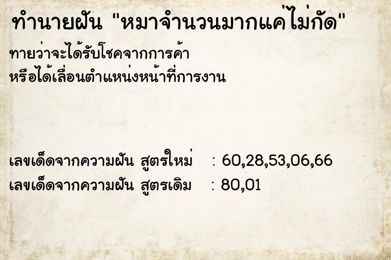 ทำนายฝัน หมาจำนวนมากแค่ไม่กัด