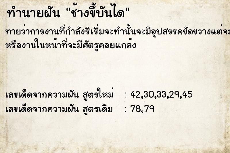 ทำนายฝัน ช้างขึ้บันได