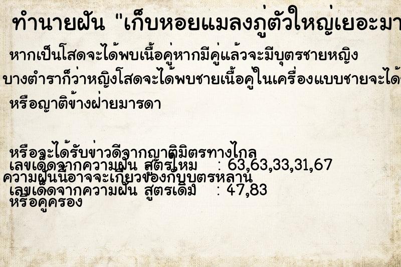 ทำนายฝัน เก็บหอยแมลงภู่ตัวใหญ่เยอะมาก  เลขนำโชค 