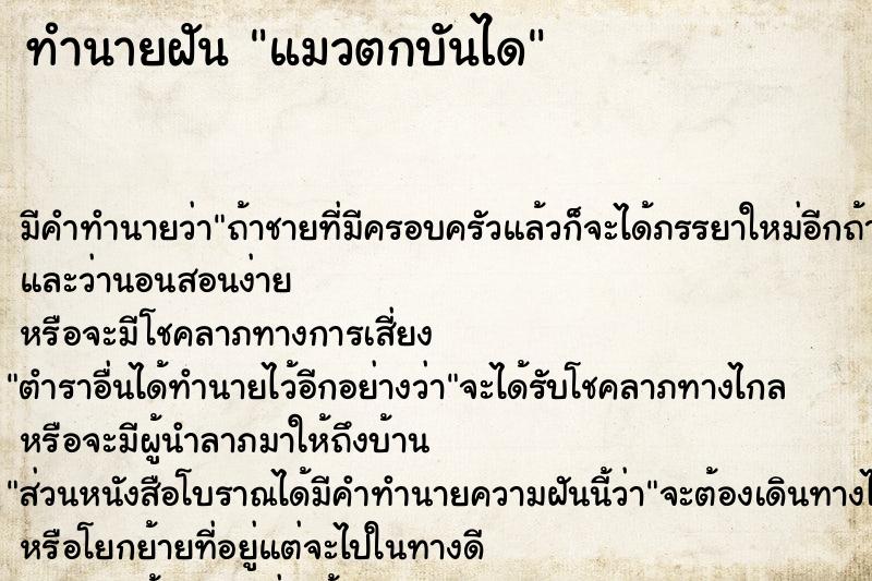 ทำนายฝัน แมวตกบันได