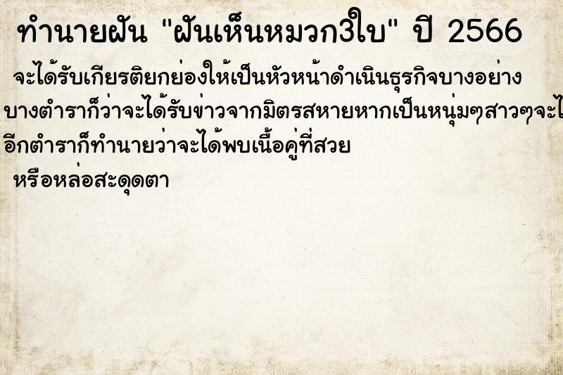 ทำนายฝัน ฝันเห็นหมวก3ใบ