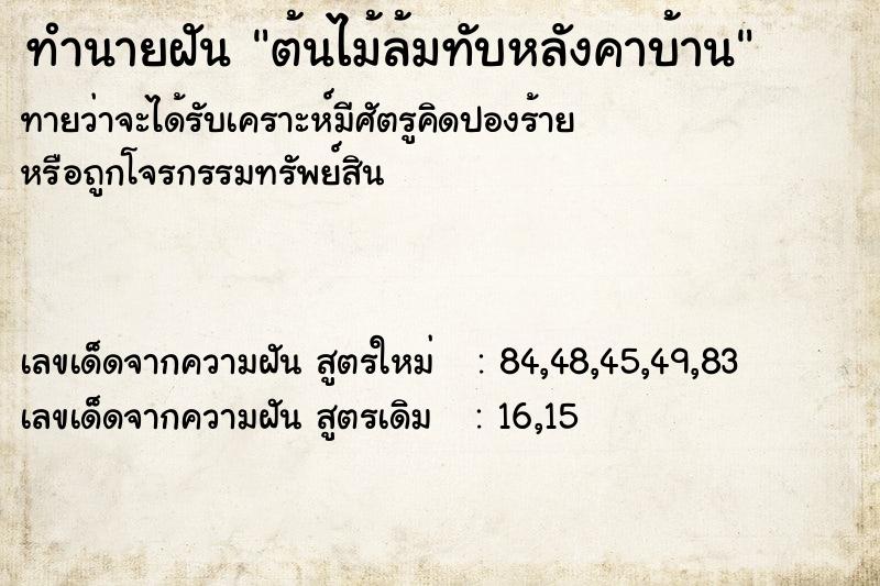 ทำนายฝัน ต้นไม้ล้มทับหลังคาบ้าน