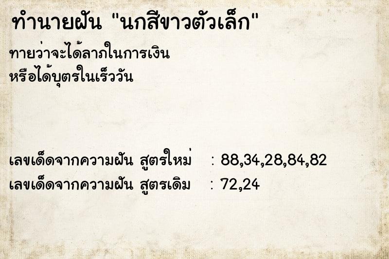 ทำนายฝัน นกสีขาวตัวเล็ก