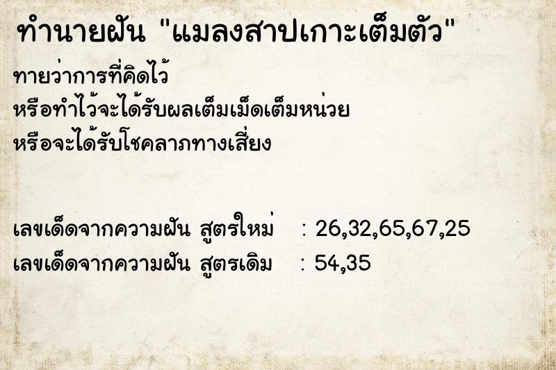 ทำนายฝัน แมลงสาปเกาะเต็มตัว