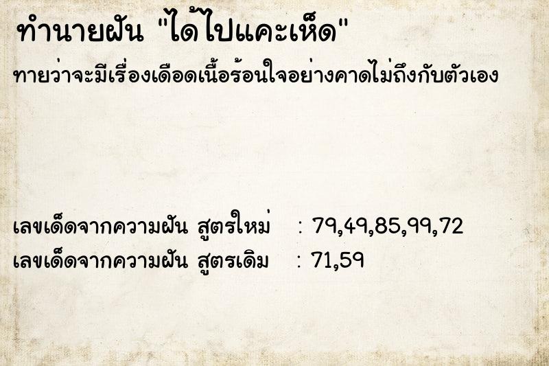 ทำนายฝัน ได้ไปแคะเห็ด