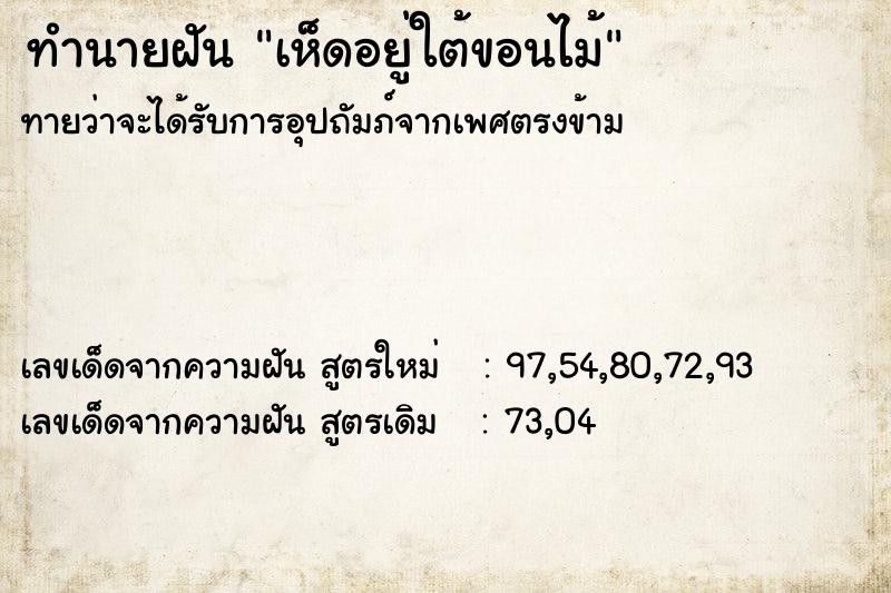 ทำนายฝัน เห็ดอยู่ใต้ขอนไม้  เลขนำโชค 