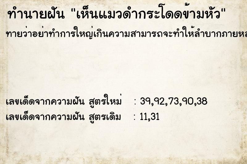 ทำนายฝัน เห็นแมวดำกระโดดข้ามหัว  เลขนำโชค 