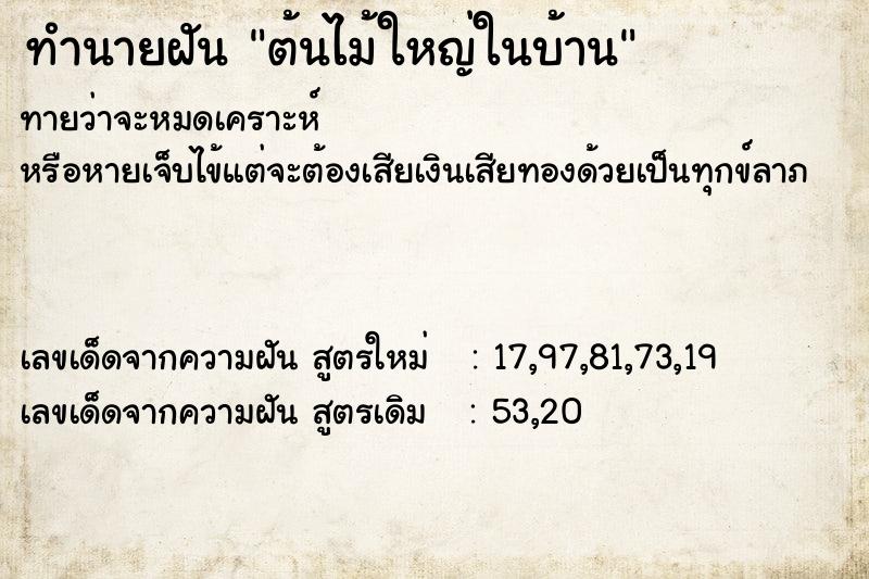 ทำนายฝัน ต้นไม้ใหญ่ในบ้าน