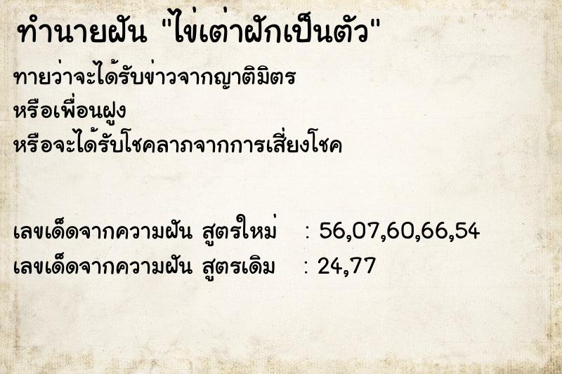 ทำนายฝัน ไข่เต่าฝักเป็นตัว