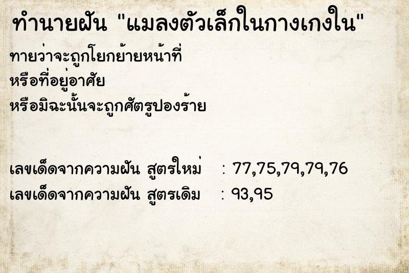 ทำนายฝัน แมลงตัวเล็กในกางเกงใน