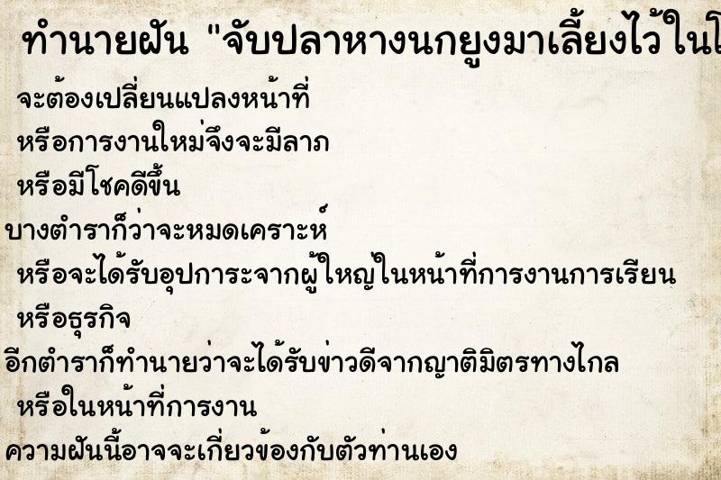 ทำนายฝัน จับปลาหางนกยูงมาเลี้ยงไว้ในโหล