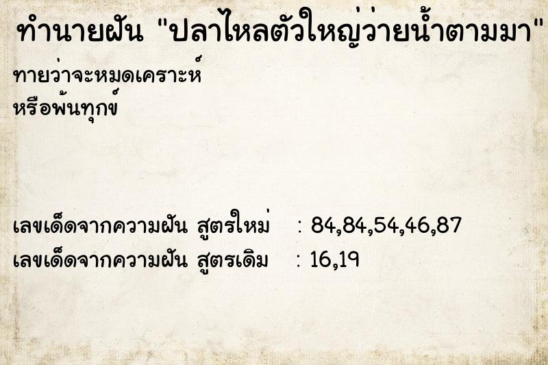 ทำนายฝัน ปลาไหลตัวใหญ่ว่ายน้ำตามมา