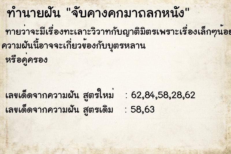 ทำนายฝัน จับคางคกมาถลกหนัง