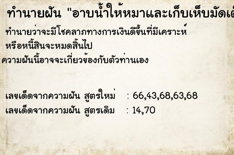 ทำนายฝัน อาบน้ำให้หมาและเก็บเห็บมัดเต็มไปหมด