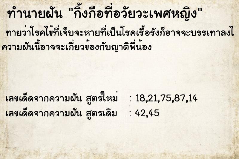 ทำนายฝัน กิ้งกือที่อวัยวะเพศหญิง  เลขนำโชค 